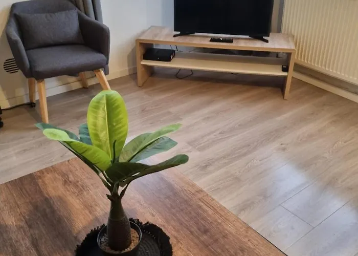 Appart'hotel SOLESMES *